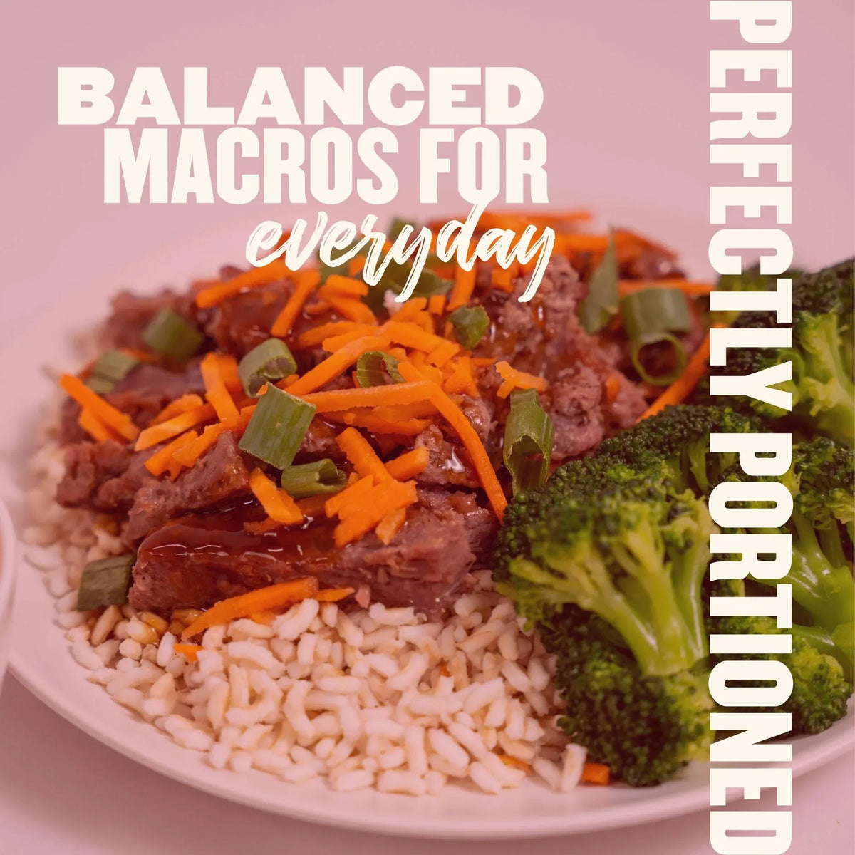 Everyday Maintenance Meal Plan